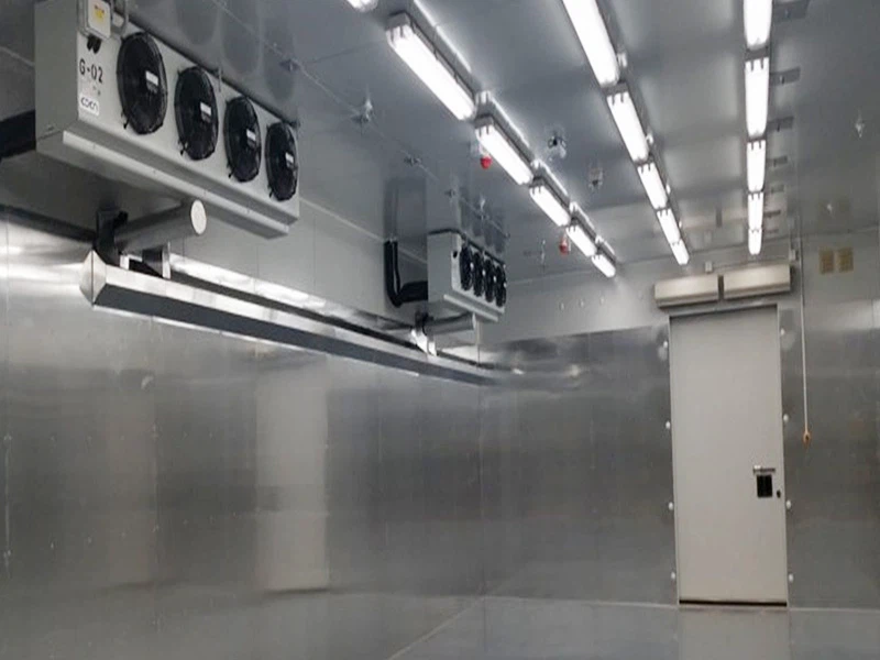 Quick-frozen Cold Storage